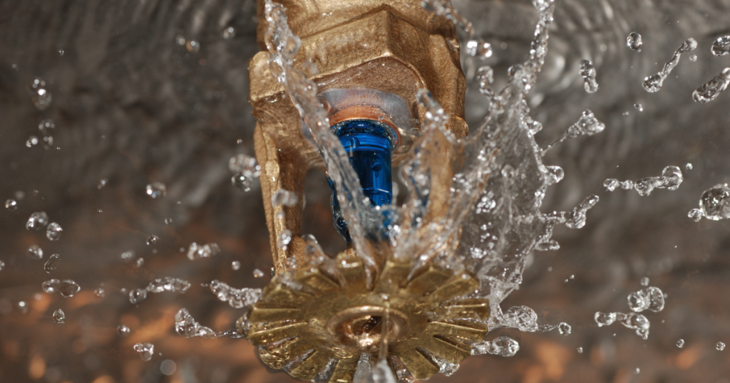 fire sprinkler