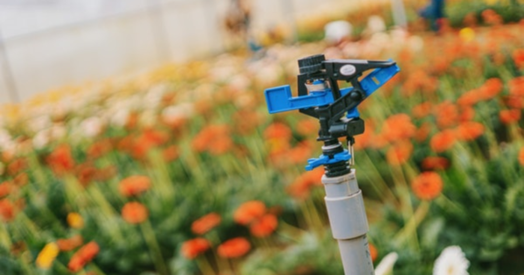 irrigation backflow preventer