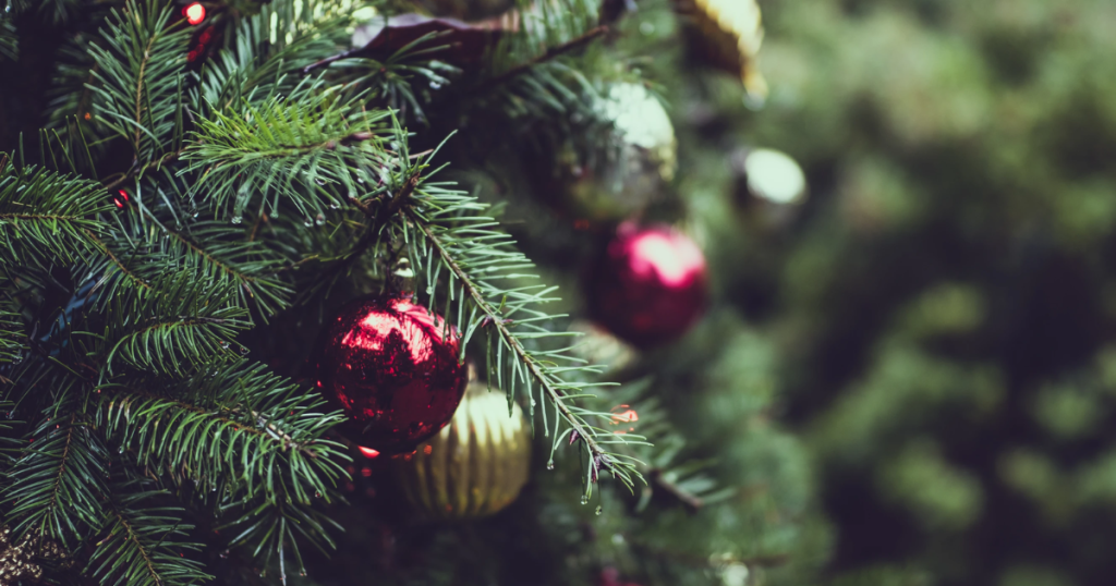 christmas tree disposal