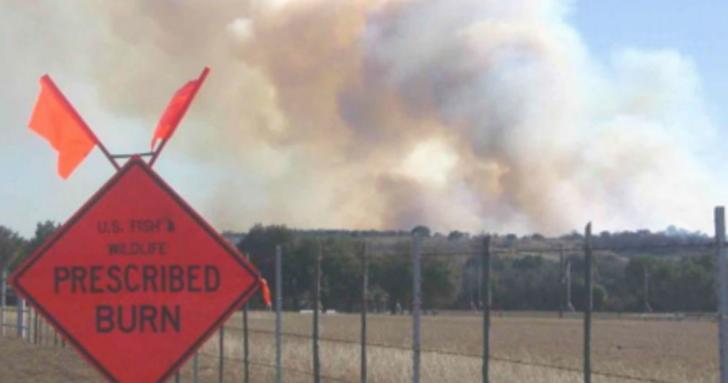 prescribed burns