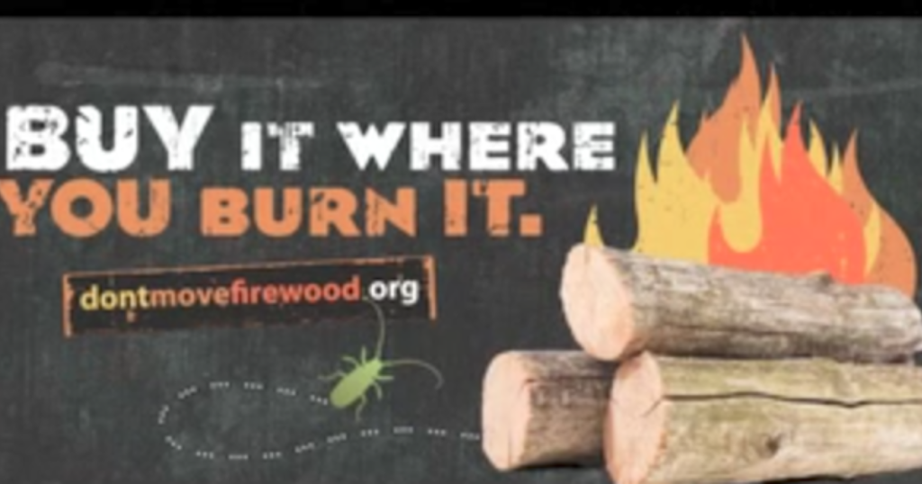 where to get fire extinguisher serviced Prescott AZ